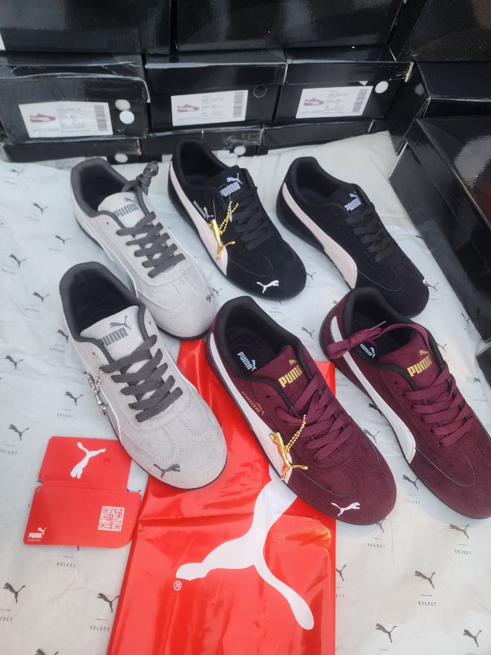 b389d322-41fd-4d50-b92e-0d5793a7a377